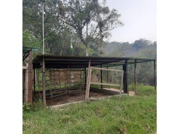 INCREIBLE PROPIEDAD PARA UNA QUINTA EN SAN FERNANDO, CHIAPAS