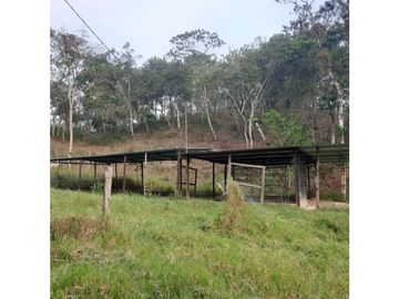 INCREIBLE PROPIEDAD PARA UNA QUINTA EN SAN FERNANDO, CHIAPAS