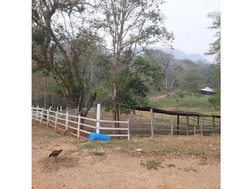 INCREIBLE PROPIEDAD PARA UNA QUINTA EN SAN FERNANDO, CHIAPAS