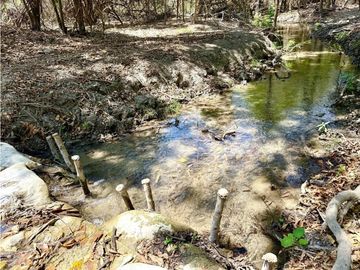 RANCHO LA AURORA EN ACALA, CHIAPAS