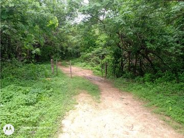 RANCHO  PARA FIJARSE EN EL, EN CINTALAPA, CHIAPAS.