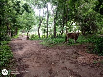 RANCHO  PARA FIJARSE EN EL, EN CINTALAPA, CHIAPAS.