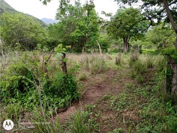 RANCHO  PARA FIJARSE EN EL, EN CINTALAPA, CHIAPAS.