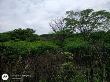 RANCHO  PARA FIJARSE EN EL, EN CINTALAPA, CHIAPAS.