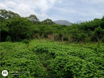 RANCHO  PARA FIJARSE EN EL, EN CINTALAPA, CHIAPAS.