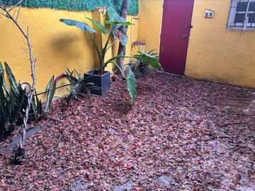 PH 3 ambientes con patio/jardín. Martínez.