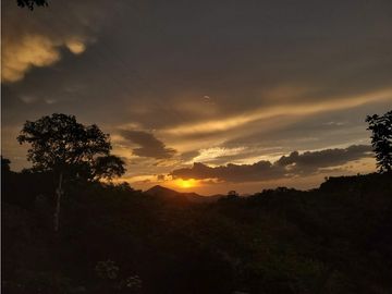 Venta de casa finca Minca 2 hectareas casa amoblada árboles frutales