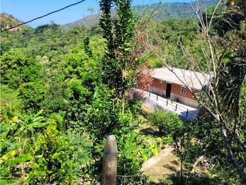 Venta de casa finca Minca 2 hectareas casa amoblada árboles frutales