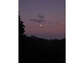 Venta de casa finca Minca 2 hectareas casa amoblada árboles frutales