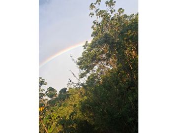 Venta de casa finca Minca 2 hectareas casa amoblada árboles frutales