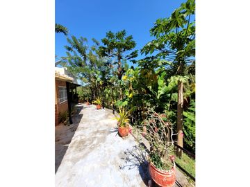 Venta de casa finca Minca 2 hectareas casa amoblada árboles frutales