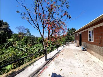 Venta de casa finca Minca 2 hectareas casa amoblada árboles frutales