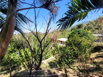 Venta de casa finca Minca 2 hectareas casa amoblada árboles frutales