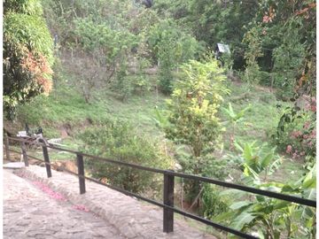 Venta de casa finca Minca 2 hectareas casa amoblada árboles frutales