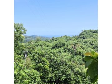 Venta de casa finca Minca 2 hectareas casa amoblada árboles frutales