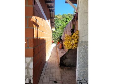 Venta de casa finca Minca 2 hectareas casa amoblada árboles frutales