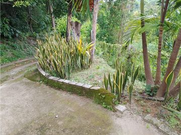 Venta de casa finca Minca 2 hectareas casa amoblada árboles frutales