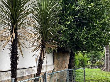 Venta Casa con Escritura en  Fraccionamiento Bonanza en  Jojutla Morelos