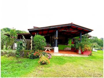 SE VENDE FINCA DE 10 HECTARIAS CON CABAÑA EN CHIRIQUI, VOLCAN BARU