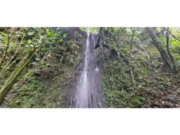 SE VENDE FINCA DE 10 HECTARIAS CON CABAÑA EN CHIRIQUI, VOLCAN BARU