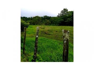 SE VENDE FINCA DE 10 HECTARIAS CON CABAÑA EN CHIRIQUI, VOLCAN BARU