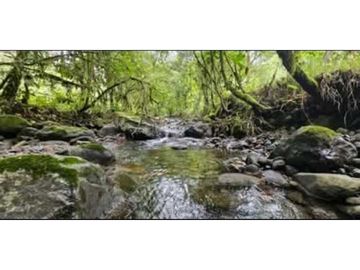 SE VENDE FINCA DE 10 HECTARIAS CON CABAÑA EN CHIRIQUI, VOLCAN BARU