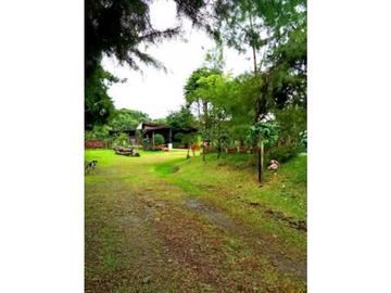 SE VENDE FINCA DE 10 HECTARIAS CON CABAÑA EN CHIRIQUI, VOLCAN BARU