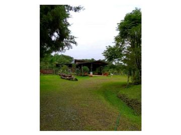 SE VENDE FINCA DE 10 HECTARIAS CON CABAÑA EN CHIRIQUI, VOLCAN BARU