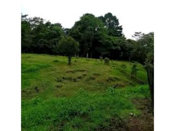 SE VENDE FINCA DE 10 HECTARIAS CON CABAÑA EN CHIRIQUI, VOLCAN BARU