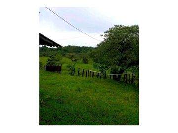 SE VENDE FINCA DE 10 HECTARIAS CON CABAÑA EN CHIRIQUI, VOLCAN BARU