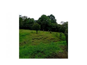 SE VENDE FINCA DE 10 HECTARIAS CON CABAÑA EN CHIRIQUI, VOLCAN BARU