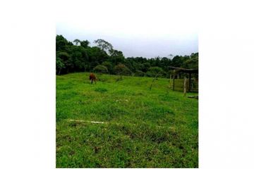 SE VENDE FINCA DE 10 HECTARIAS CON CABAÑA EN CHIRIQUI, VOLCAN BARU