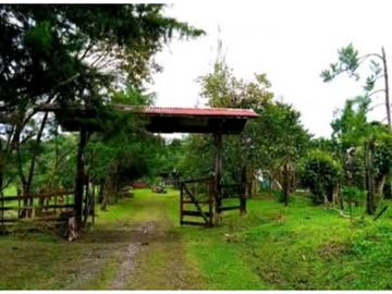 SE VENDE FINCA DE 10 HECTARIAS CON CABAÑA EN CHIRIQUI, VOLCAN BARU