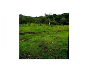 SE VENDE FINCA DE 10 HECTARIAS CON CABAÑA EN CHIRIQUI, VOLCAN BARU