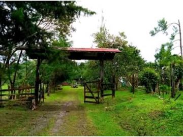 SE VENDE FINCA DE 10 HECTARIAS CON CABAÑA EN CHIRIQUI, VOLCAN BARU