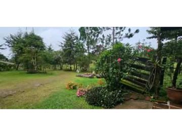 SE VENDE FINCA DE 10 HECTARIAS CON CABAÑA EN CHIRIQUI, VOLCAN BARU