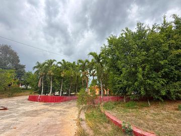 Rancho de 53 HA ideal para Ganadería en Chapab, entre Mama y Ticul, Yucatán.