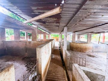 Rancho de 53 HA ideal para Ganadería en Chapab, entre Mama y Ticul, Yucatán.