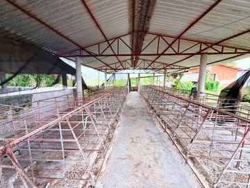 Rancho de 53 HA ideal para Ganadería en Chapab, entre Mama y Ticul, Yucatán.