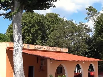 Rancho de 53 HA ideal para Ganadería en Chapab, entre Mama y Ticul, Yucatán.