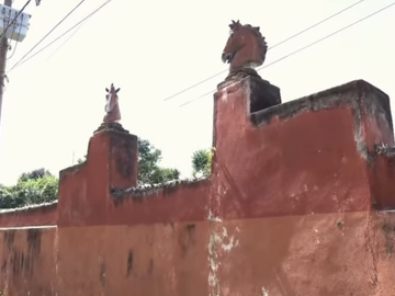 Rancho de 53 HA ideal para Ganadería en Chapab, entre Mama y Ticul, Yucatán.