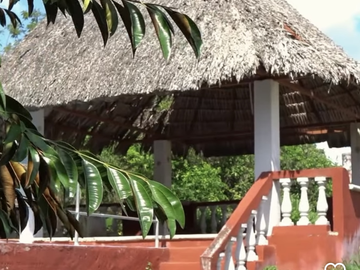 Rancho de 53 HA ideal para Ganadería en Chapab, entre Mama y Ticul, Yucatán.