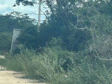 TERRENO EN TIXKUNCHEIL EN ESQUINA