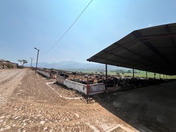 Rancho Ganadero en Venta en San Juan del Río, Querétaro
