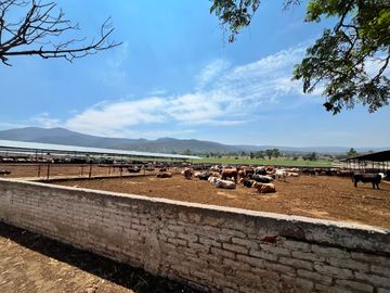 Rancho Ganadero en Venta en San Juan del Río, Querétaro