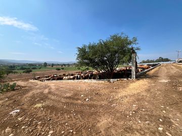 Rancho Ganadero en Venta en San Juan del Río, Querétaro