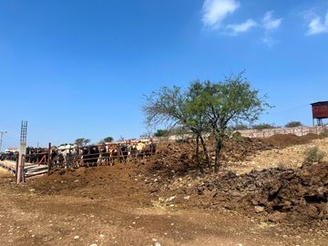 Rancho Ganadero en Venta en San Juan del Río, Querétaro