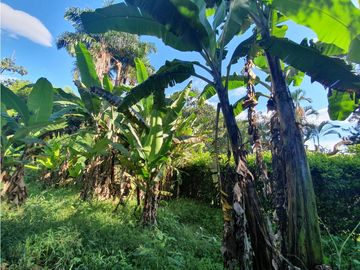 Casa campestre en parcelación venta o arriendo sector Pueblo Tapao