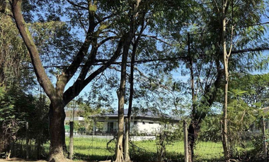 Two adjoining lots in Katipunan Avenue Ext, Loyola Grand Villas