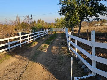 PARCELA CON CASA, 5000 MTS2, SAN JAVIER